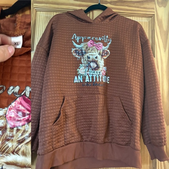 Brown Graphic Hoodie with Attitude Print - Picture 2 of 2